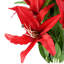 Plastic, Silk Artificial Arrangement-89222284