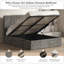 Sollom Upholstered Ottoman Bed