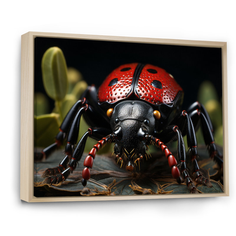 Insects Bugs Portrait Stunning II, H 34 po x l 44 po x P 1,5 po, Cadre naturel flottant