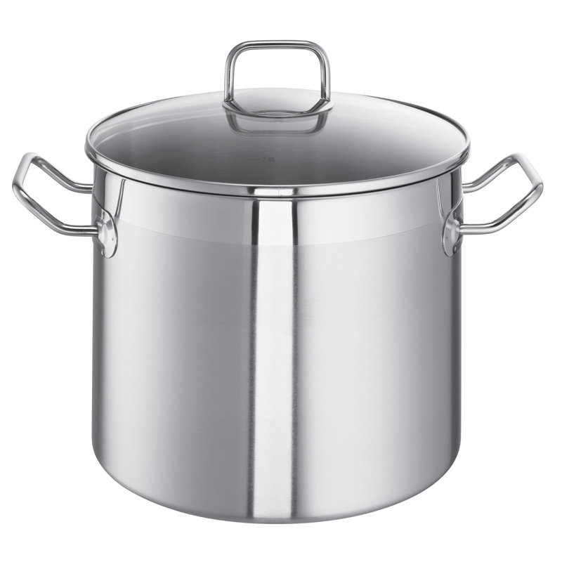 ProfessPlus i Stock Pot with Lid, 34cm