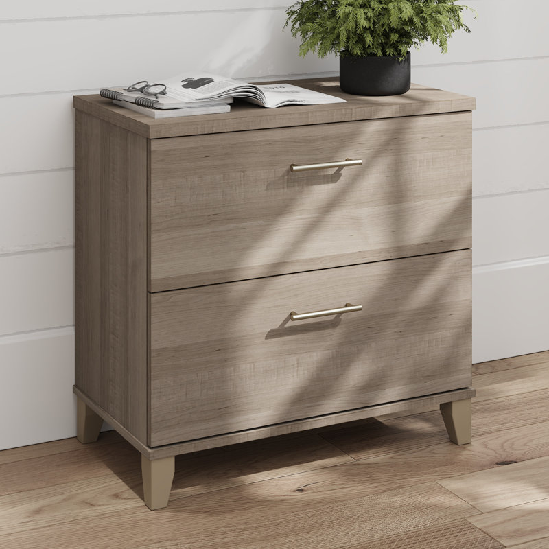 2 Drawer Lateral File Cabinet in Ash Gray, Ash Gray