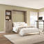 Lit et unité de rangement avec portes Arlex (89 W)-88513634-91638369