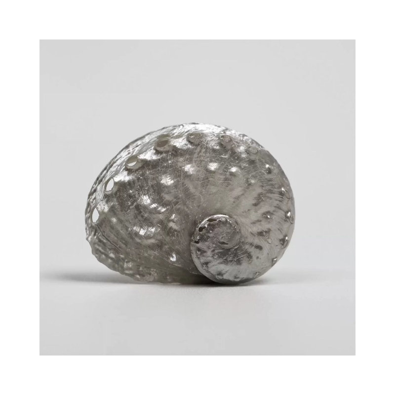 Beachside Treasure IV by Assaf Frank - Wrapped Canvas Print, 93.98 cm H x 93.98 cm W x 1.91 cm D