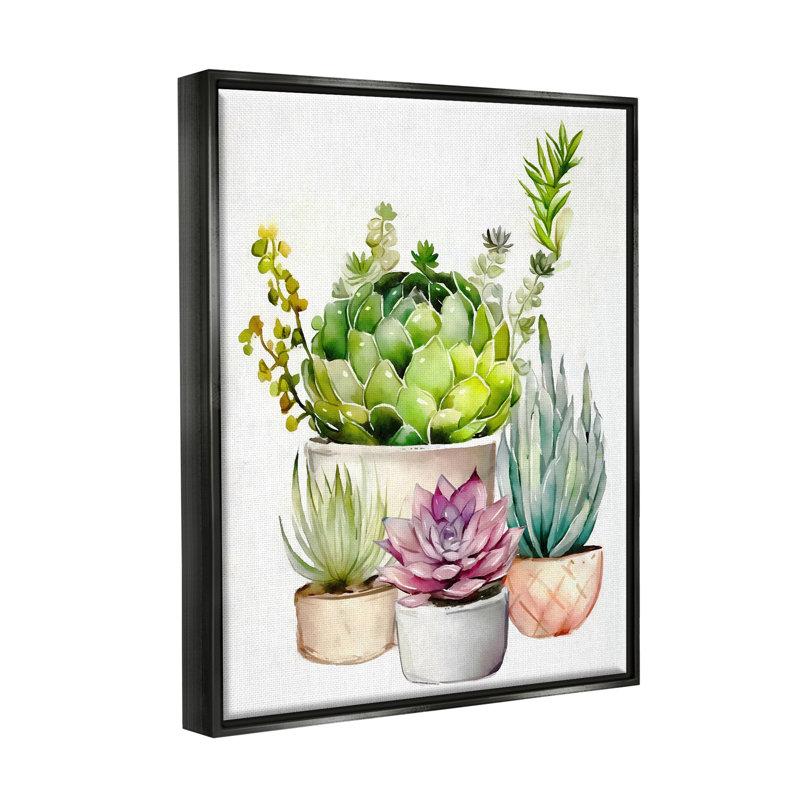 Au-768-Framed " Varied Succulent Garden Plants " by Ziwei Li, Jet Black Floater Frame, 21" H x 17" W x 1.7" D