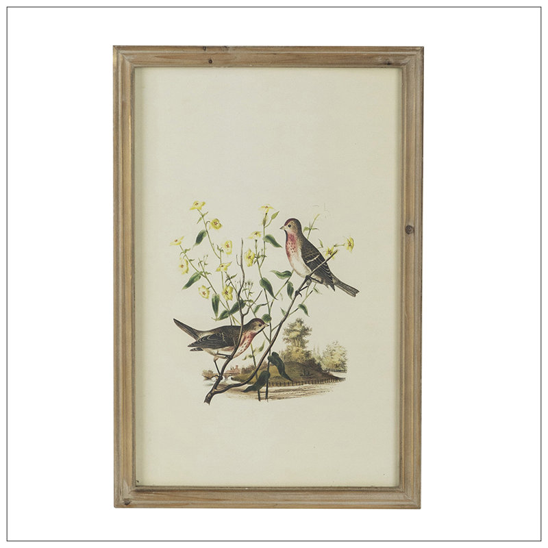 S/4 Bird Framed Print