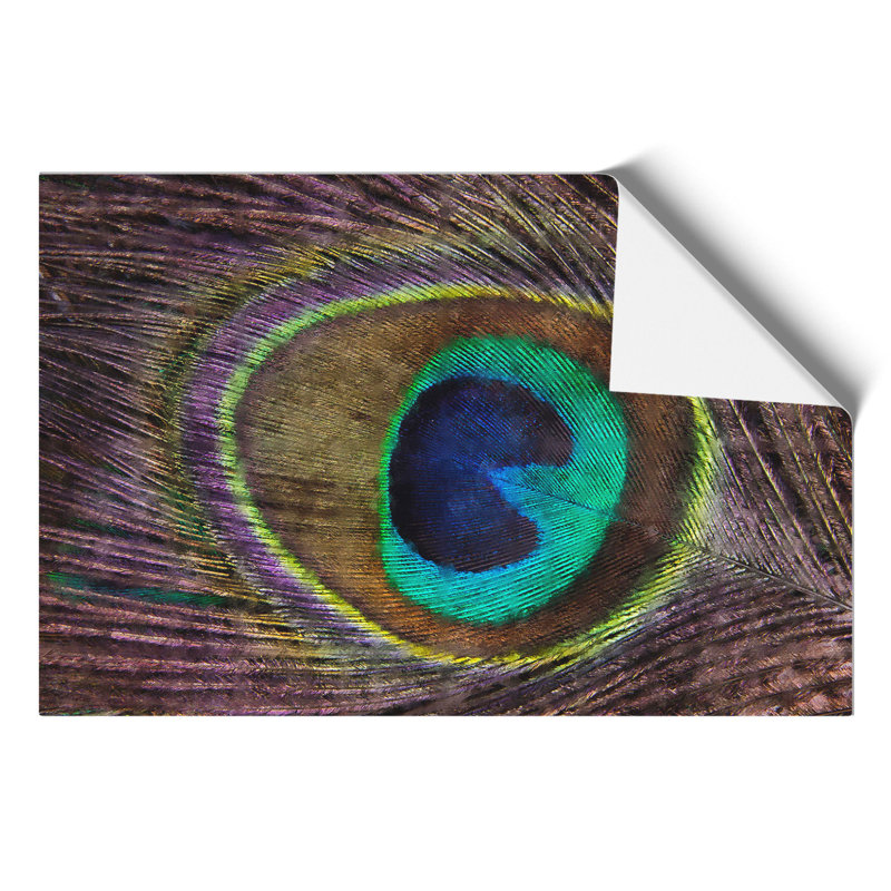 Peacock Feather Painting - Frameless Print, 21cm H x 30cm W x 0.1cm D