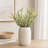 Boxwood Sprays