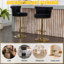 Chaise de bar en velours doux avec rotation à 360 °, hauteur réglable et coutures en losanges pour la cuisine Rivets dorés confortables, îlot de coussin en mousse haute densité Rotation