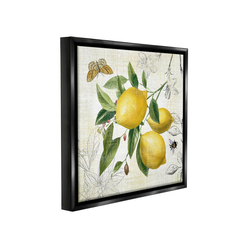 "Vintage Lemon Blossoms" par Nan sur toile, H 18 po x l 18 po, Cadre flottant noir de jais