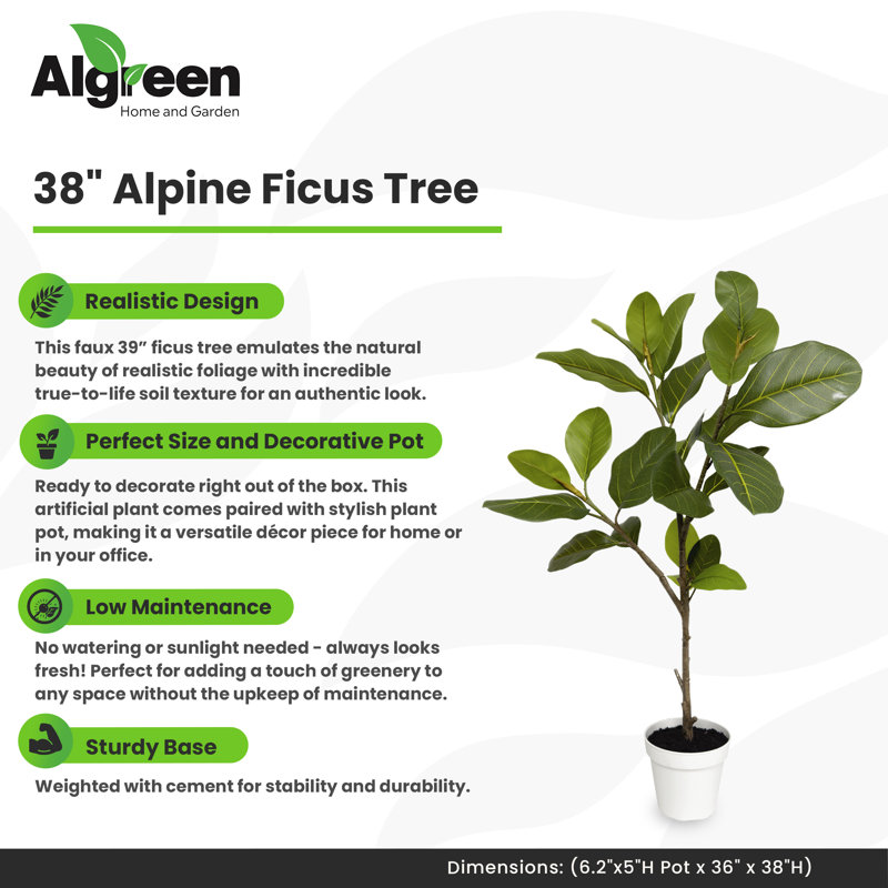 Algreen 38" Faux Alpine Ficus Tree in White Decorative Planter