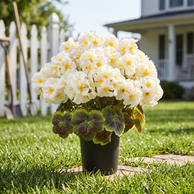 Fleurs de géranium artificielles en pot de 19,7 pouces, buisson de faux géranium multicolore avec jardinière en plastique noir pour la décoration intérieure de patio