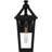 Frimmy 1-Light Matte Black Outdoor Wall Lantern