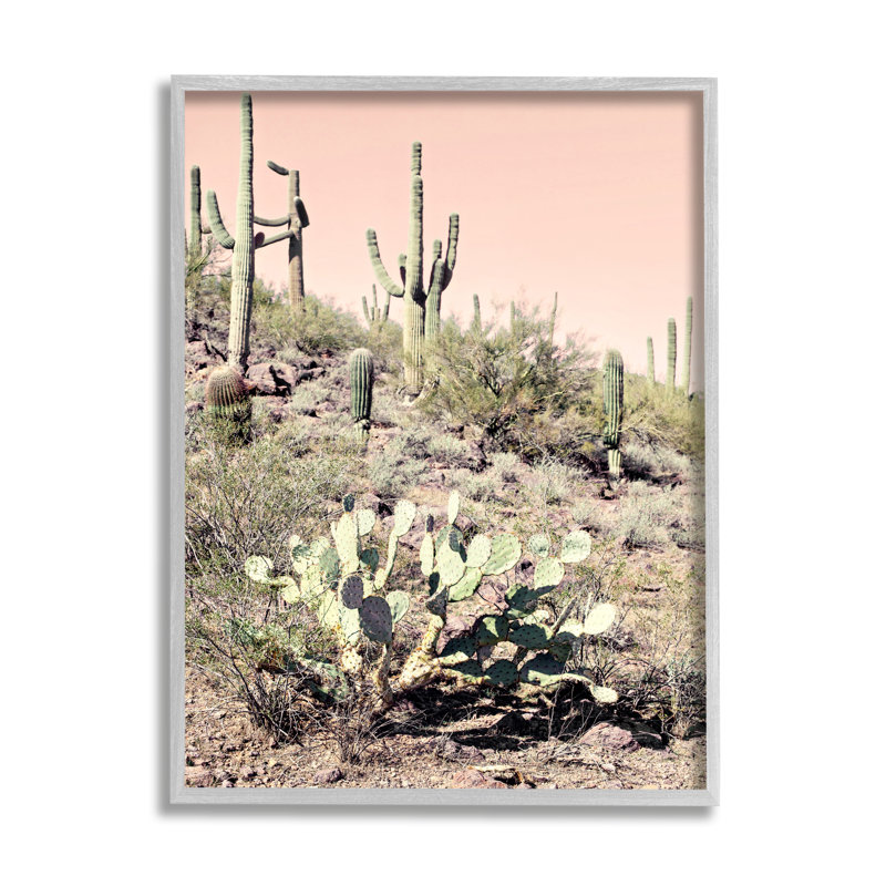 «Summer Dessert Landscape Cactus Prickly Pear», photographie sur toile tendue rose, H 14 po x l 11 po x P 1,5 po