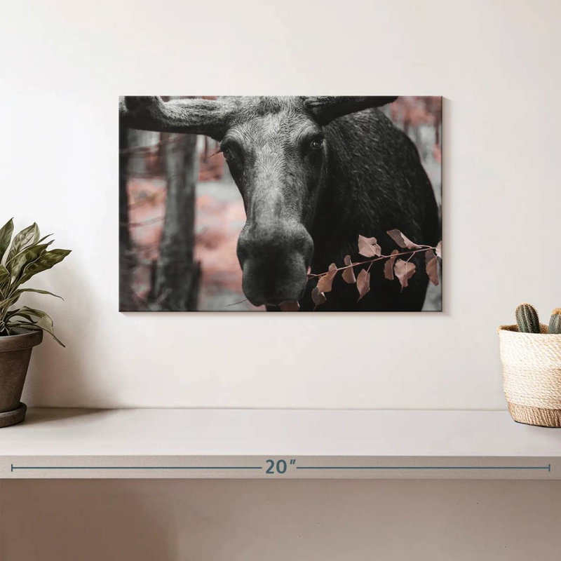 Black Moose, 8" H x 12" W