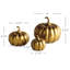 Ensemble de 3 citrouilles sculptées Pham-129903306