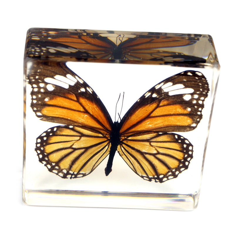 Rackley Animals Figurines & Sculptures