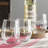 Aaina 21 oz. Stemless Wine Glass Set
