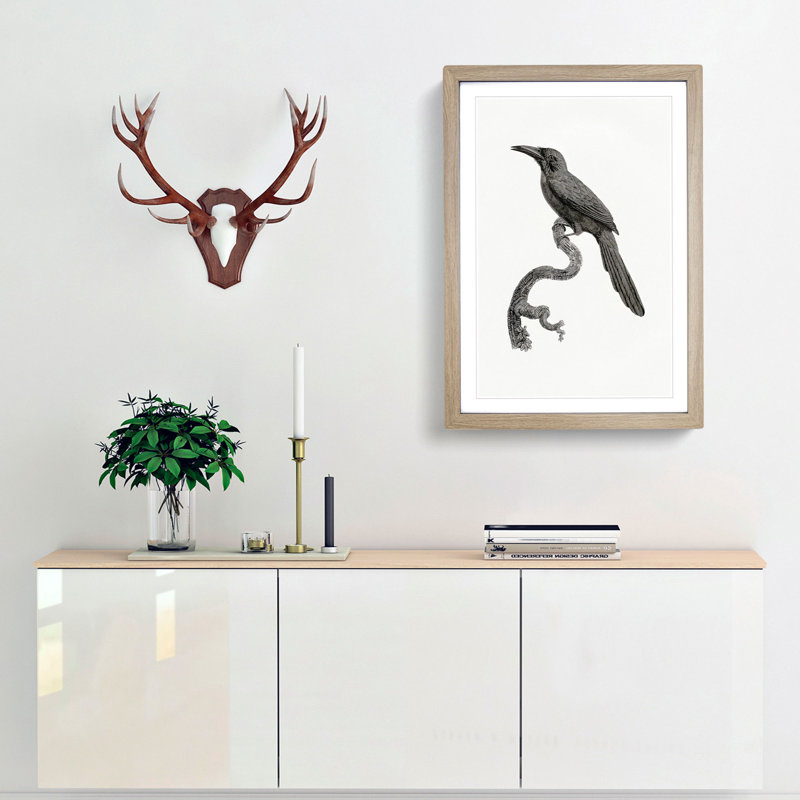 Jacamar Bird by Jacques Barraband - Framed Print, 65cm H x 48cm W x 2cm D, Oak Framed