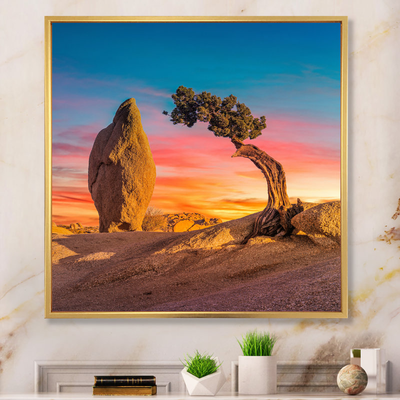 «Solitude Tree On Arkansas Desert», reproduction sur toile, H 24 po x l 32 po x P 1 po, Cadre flottant doré