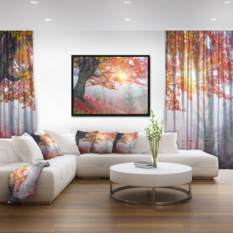 « matinée dans misty red forest », reproduction de photo sur toile tendue encadrée, H 14 po x l 22 po x P 1 po