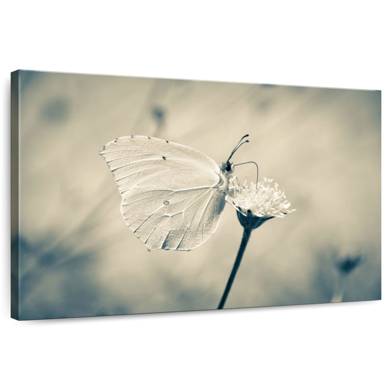 Corbeau papillon blanc et fleur, H 24 po x l 36 po