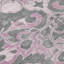 Tapis intérieur / extérieur rose lavable à la machine Xhevrie-722491358