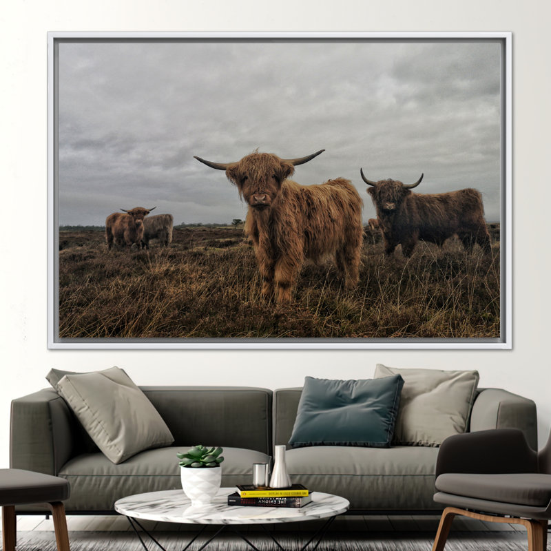 Print on Canvas, 40 cm H x 60 cm W, Floater Framed Print without Mat, White