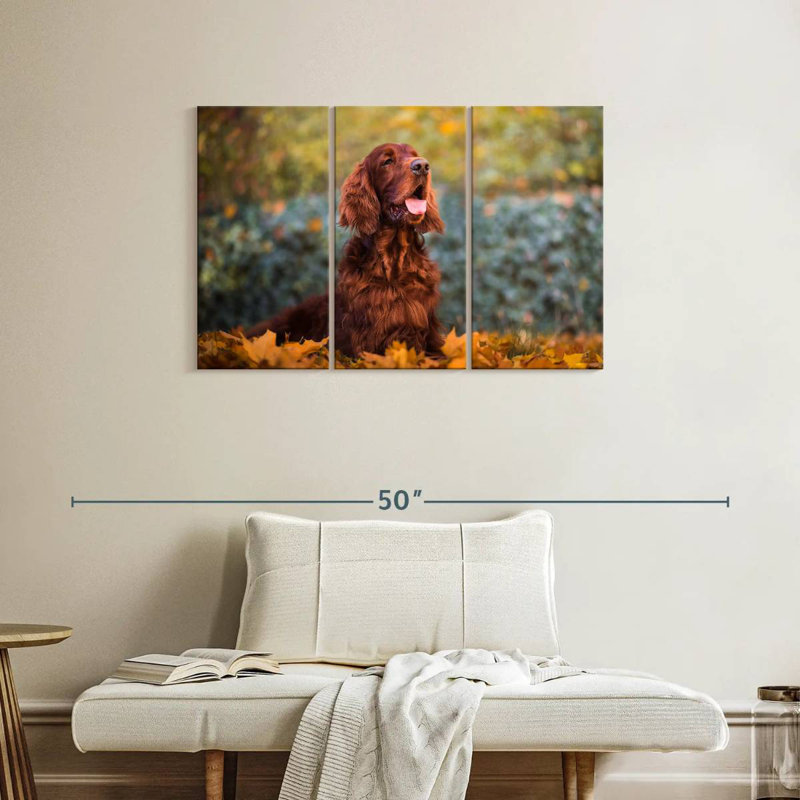 Setter irlandais en automne, H 24 po x l 38 po