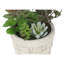Plante artificielle