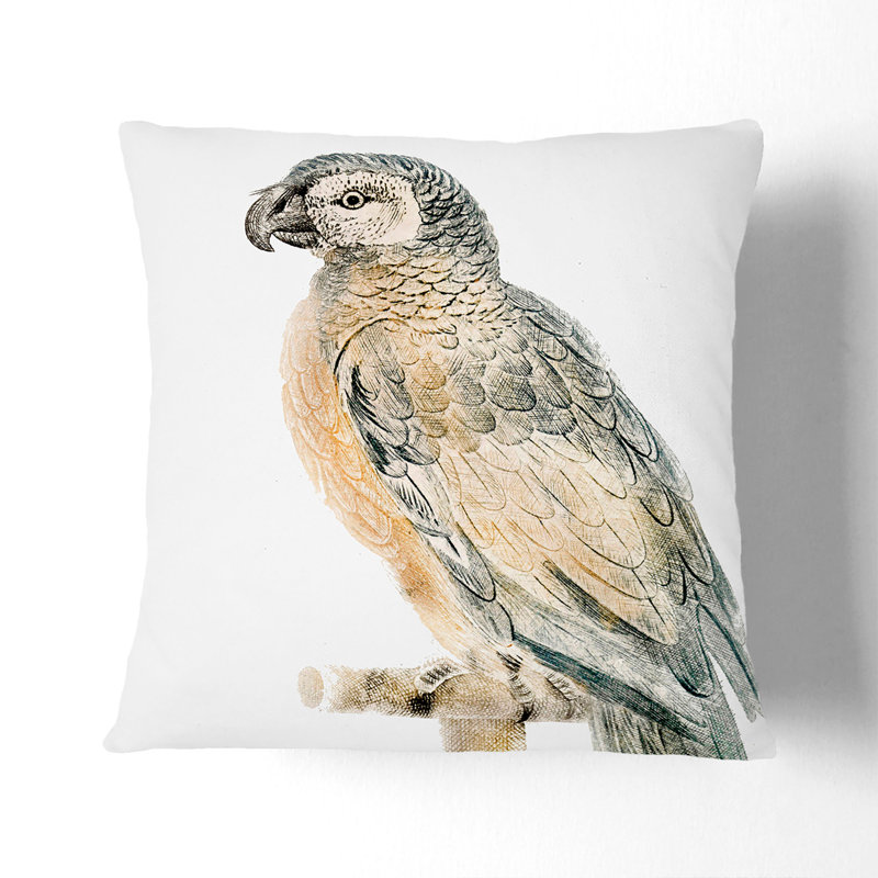 Perched Parrot by Johan Teyler Cushion with Filling, 40cm H x 40cm W x 15cm D, Black