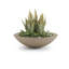 Jardinière en béton peu profond Oceanside-935299275-935299313