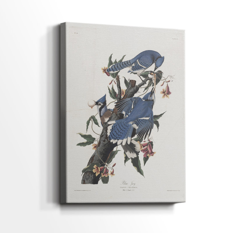 Imprimé animal rétro XXXIV - galerie Cavas, H 18 po x l 12 po