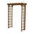 Teinture champignon