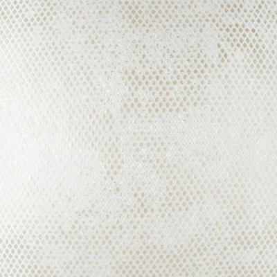 Pitone Fabric