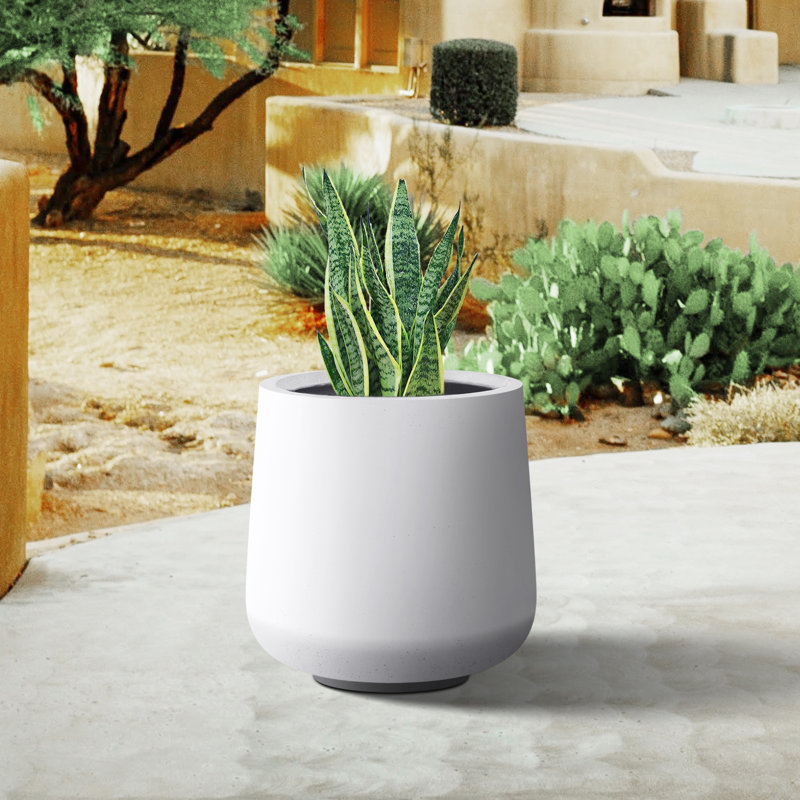 Pot à fleurs en béton Laihla, Blanc, H 17,3 po x l 16,5 po x P 16,5 po