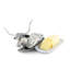 Western Pewter Butter Dish