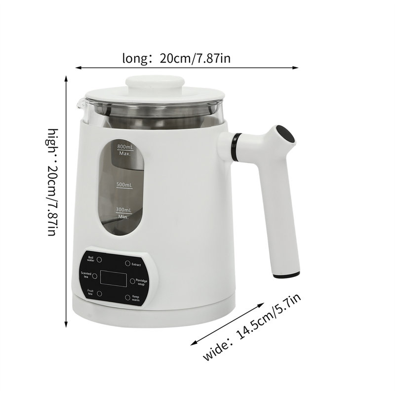 Electric Tea Kettle with Temperature Control, White
