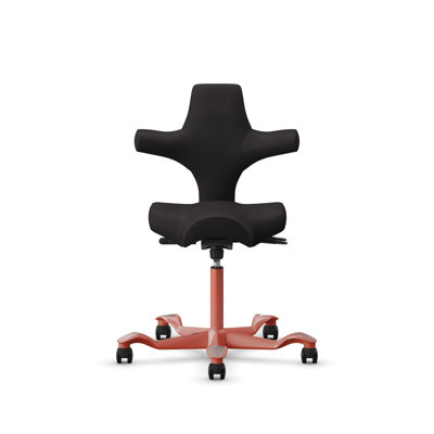 HÅG Capisco Adjustable Standard Height Chair 