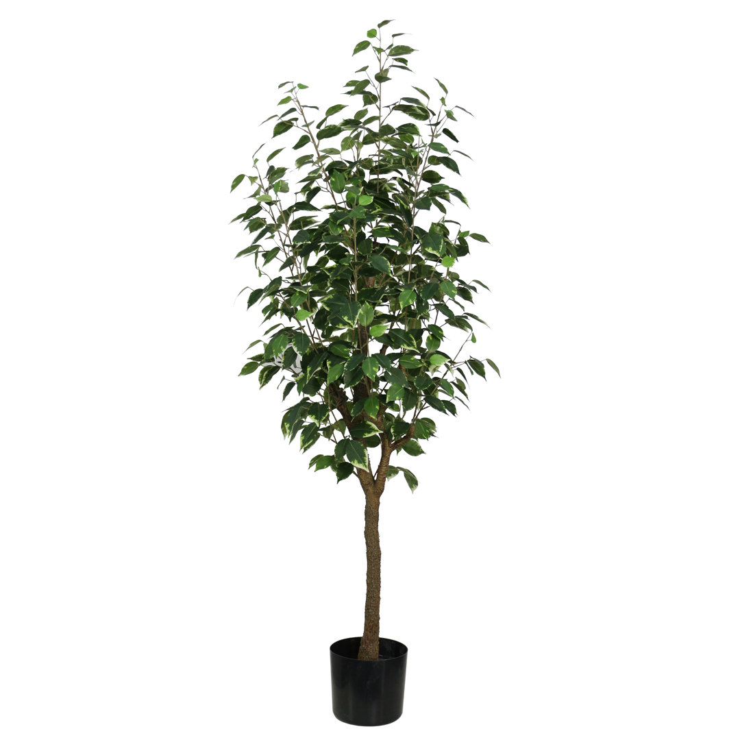 Boden-Kunstpflanze Ficus im Topf