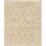 Oriental Area Rug in Ivory