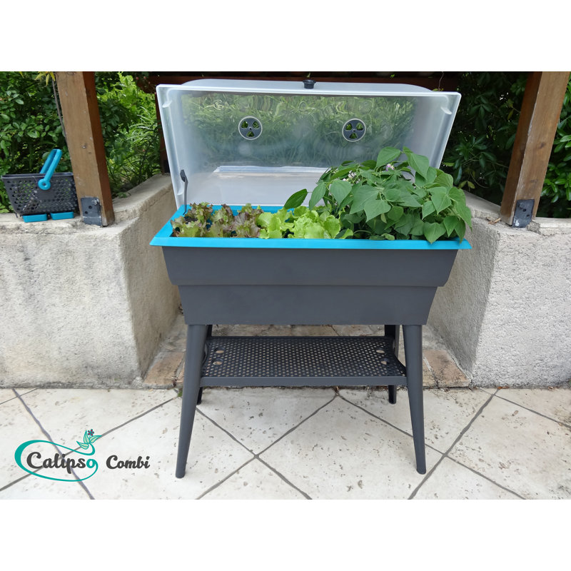 Raised Garden Bed