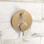 Ecostat S Temperature Memory Thermostatic Valve Trim with Diverter-90613092