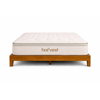 Altonia Twin XL Pillow Top Mattress