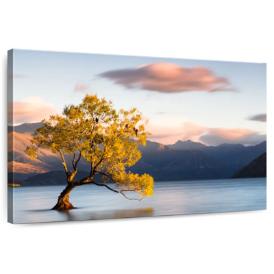 Paysage du lac Alvord Wanaka
