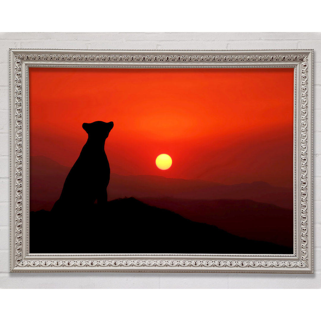 Panther Sunset - Einzelner Bilderrahmen Kunstdrucke