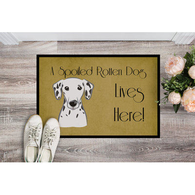 Non-Slip Outdoor Doormat