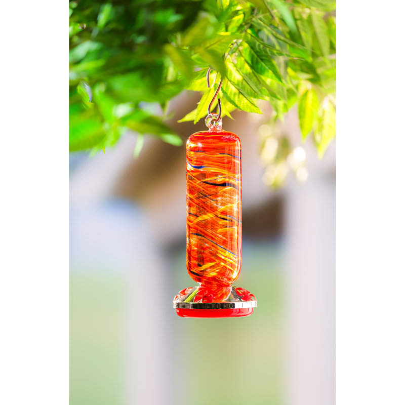 Mangeoire en verre pour colibris