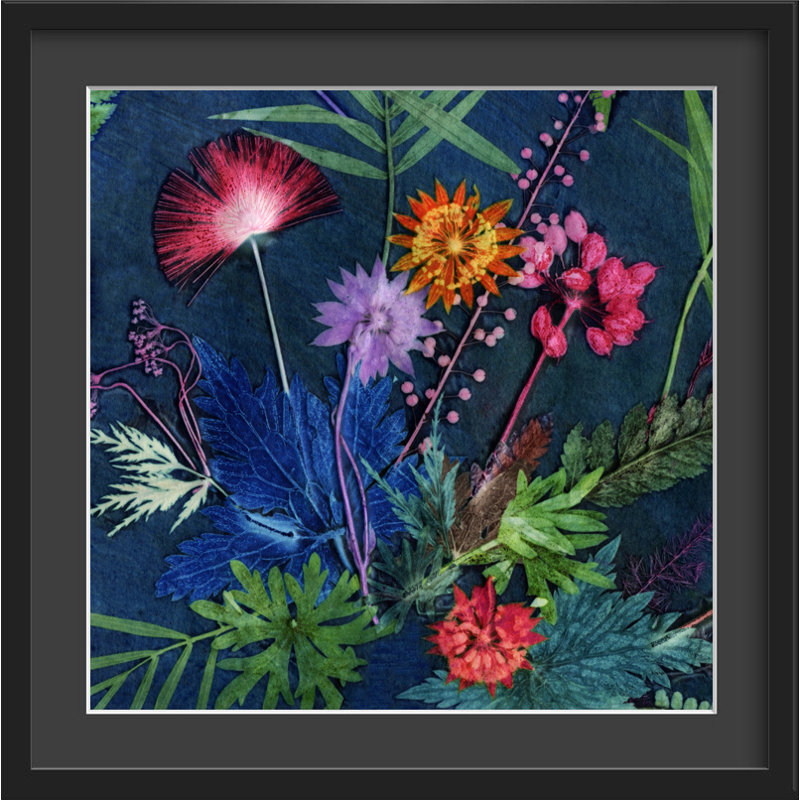 Gillian Arnold - Single Picture Frame Print