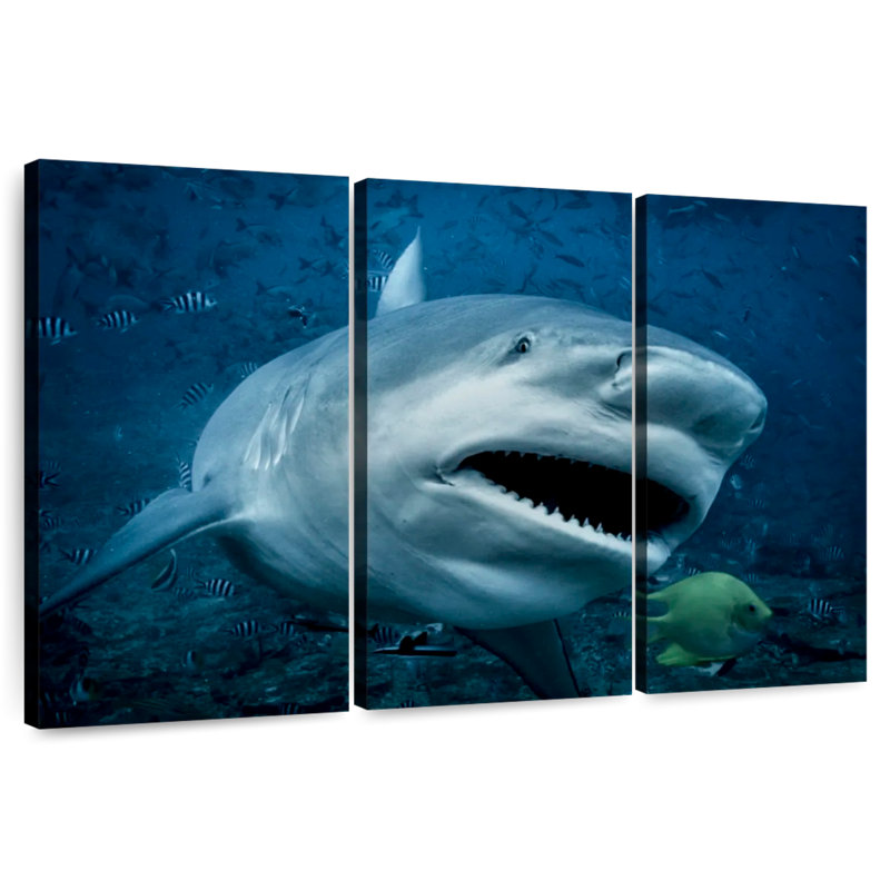 Brampt Bull Shark In Action, 28" H x 45" W