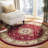 Klose Performance Oriental Rug-19261202